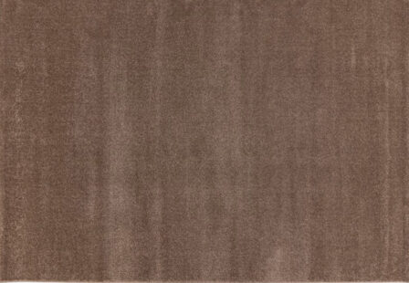 Vaip Trendy 200 x 290 cm helepruun