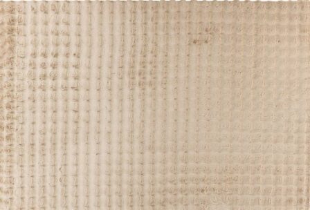 Vaip Harmony 200x290 cm beež