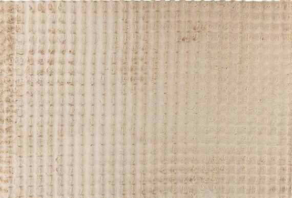 Vaip Harmony 200x290 cm beež