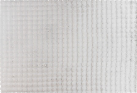 Vaip Harmony 200x290 cm helehall