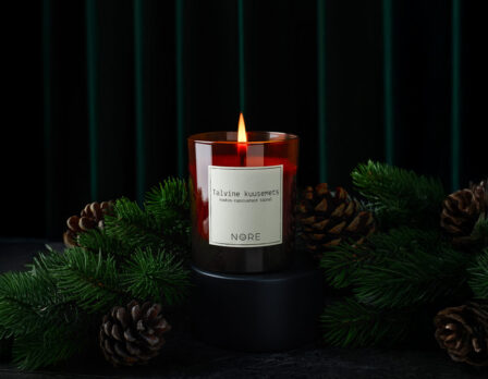 Talvine kuusemets küünal (220g)