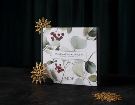 Talvemaagia komplekt