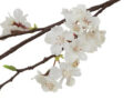 Kunstlill valge kirsioks 78cm detailvaade