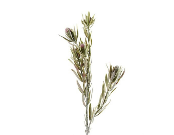 Kunstlill protea