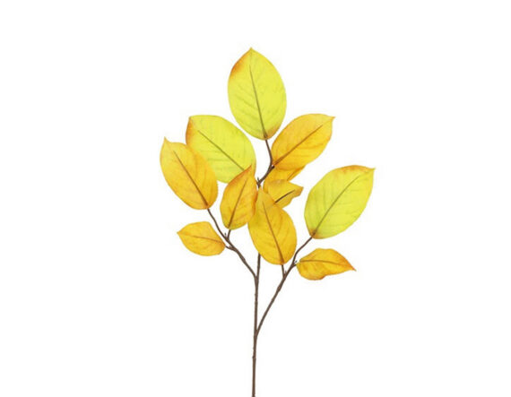 Kunsttaim kollane mooruspuu