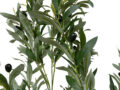 Kunsttaim oliiv 120cm detailvaade